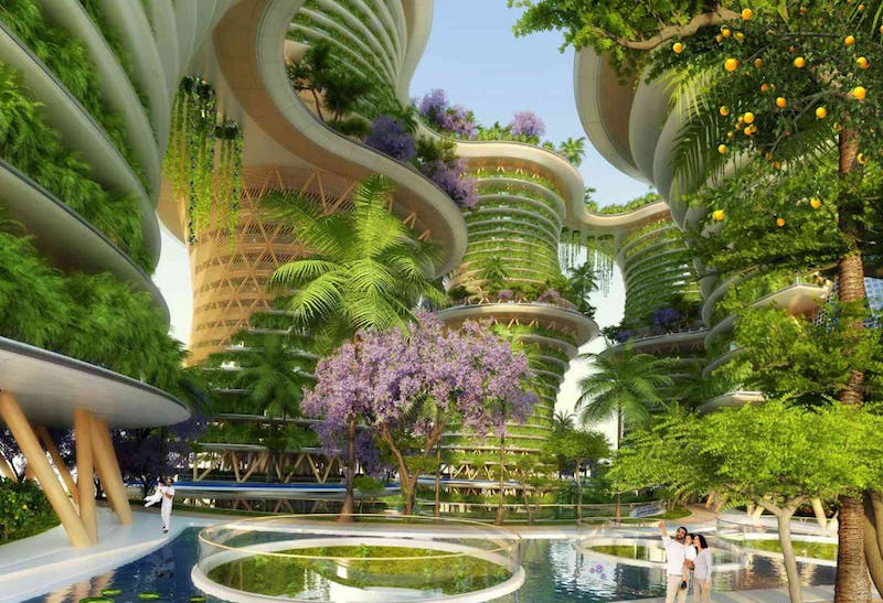 66fb1fcd1a3f596718d50c36 3 8