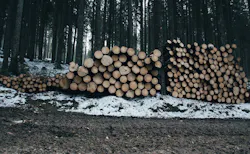 66fb1fd946a023e7e213d91c Wood 5 66fb1fd946a023e7e213d91c Wood 5