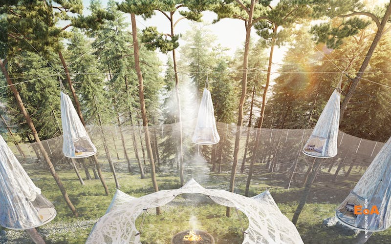 66fb20161bbf3c3c4e54380e Till20tree20top20location20