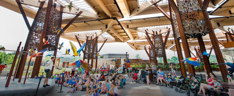 66fb201d1bbf3ceaf9543816 Pavilion4