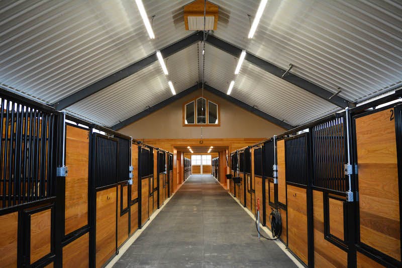 66fb20223695556b6b4224aa Cobalt1