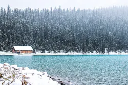 66fb20226913963a264baeab Canada 66fb20226913963a264baeab Canada