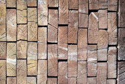 66fb209a3695553ff74225a8 Wood 10 66fb209a3695553ff74225a8 Wood 10