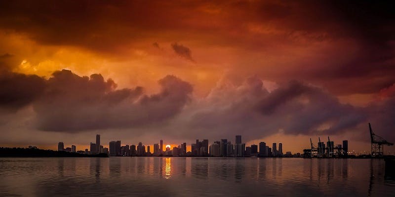 66fb20a446a023beab13dafe Miami