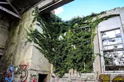 66fb20b9816f264518c3b1cb Lowincome 66fb20b9816f264518c3b1cb Lowincome