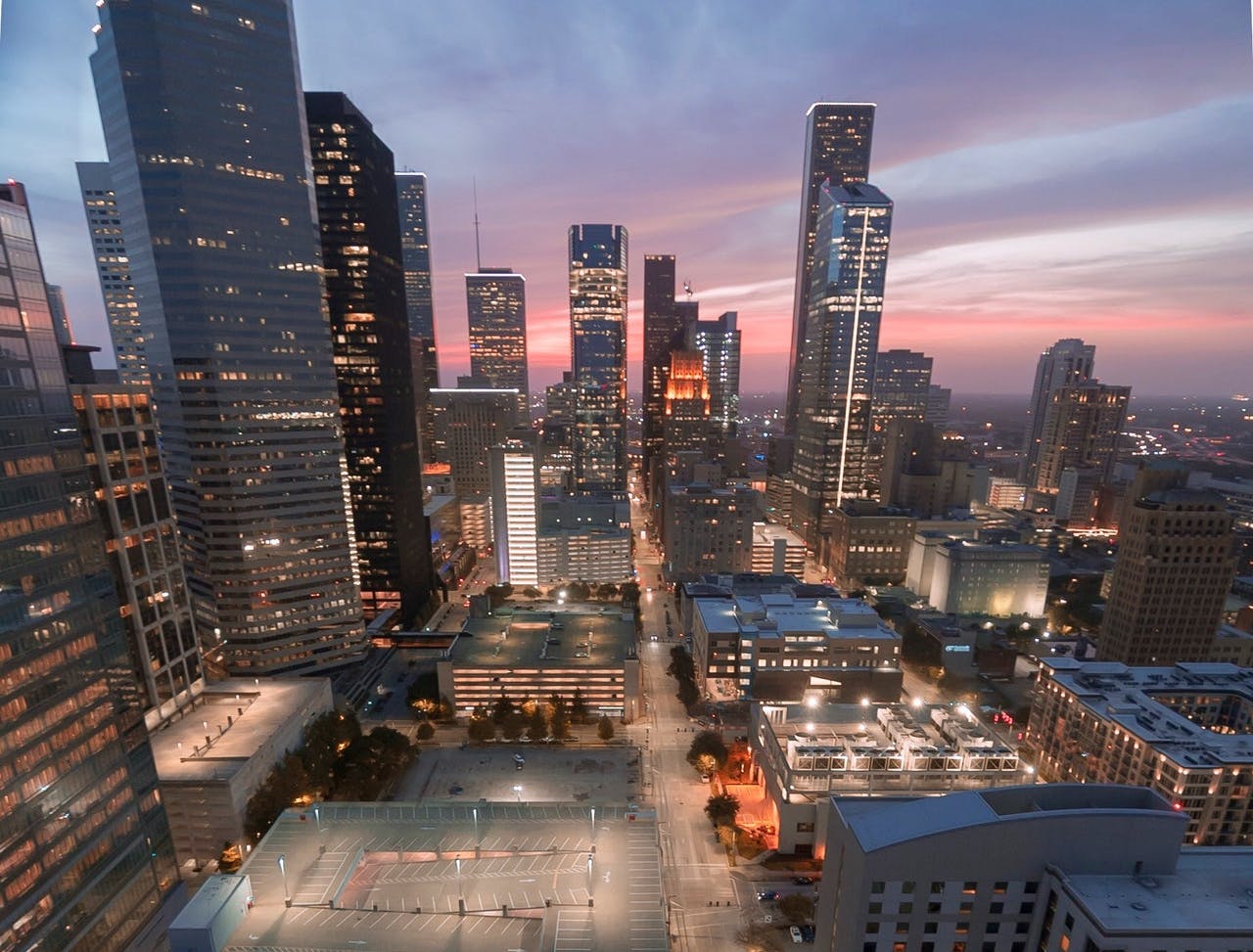 Chicago, Houston, and Dallas deemed &lsquo;most dangerous cities for migratory birds&rsquo;