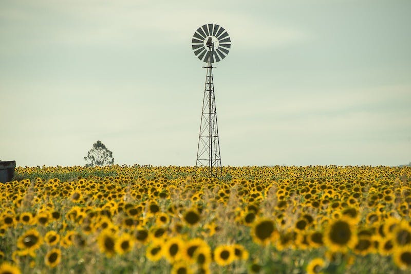 66fb214e6913963c974bb123 Climate 0