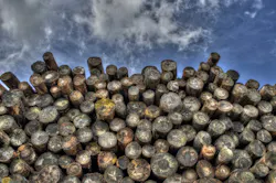 66fb21bf816f26e47bc3b3fa Logs 66fb21bf816f26e47bc3b3fa Logs