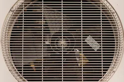 66fb21fc6913969e0e4bb24b Ac 1 66fb21fc6913969e0e4bb24b Ac 1