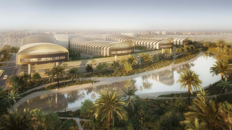 66fb220cb3988716960ff39a Cairohospital