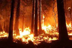 66fb2224f503ddaa90766c15 Wildfire 2 66fb2224f503ddaa90766c15 Wildfire 2