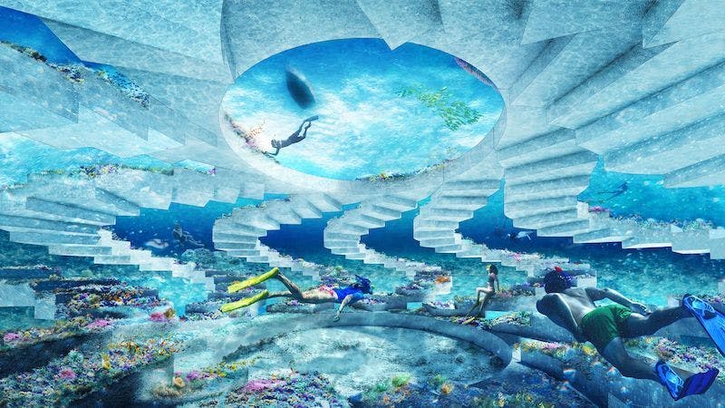 66fb2253b3988792a40ff428 Reefline1