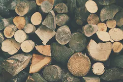 66fb22b55230180947077440 Logs 66fb22b55230180947077440 Logs