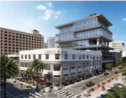 Banyan & Olive ext Banyan & Olive ext