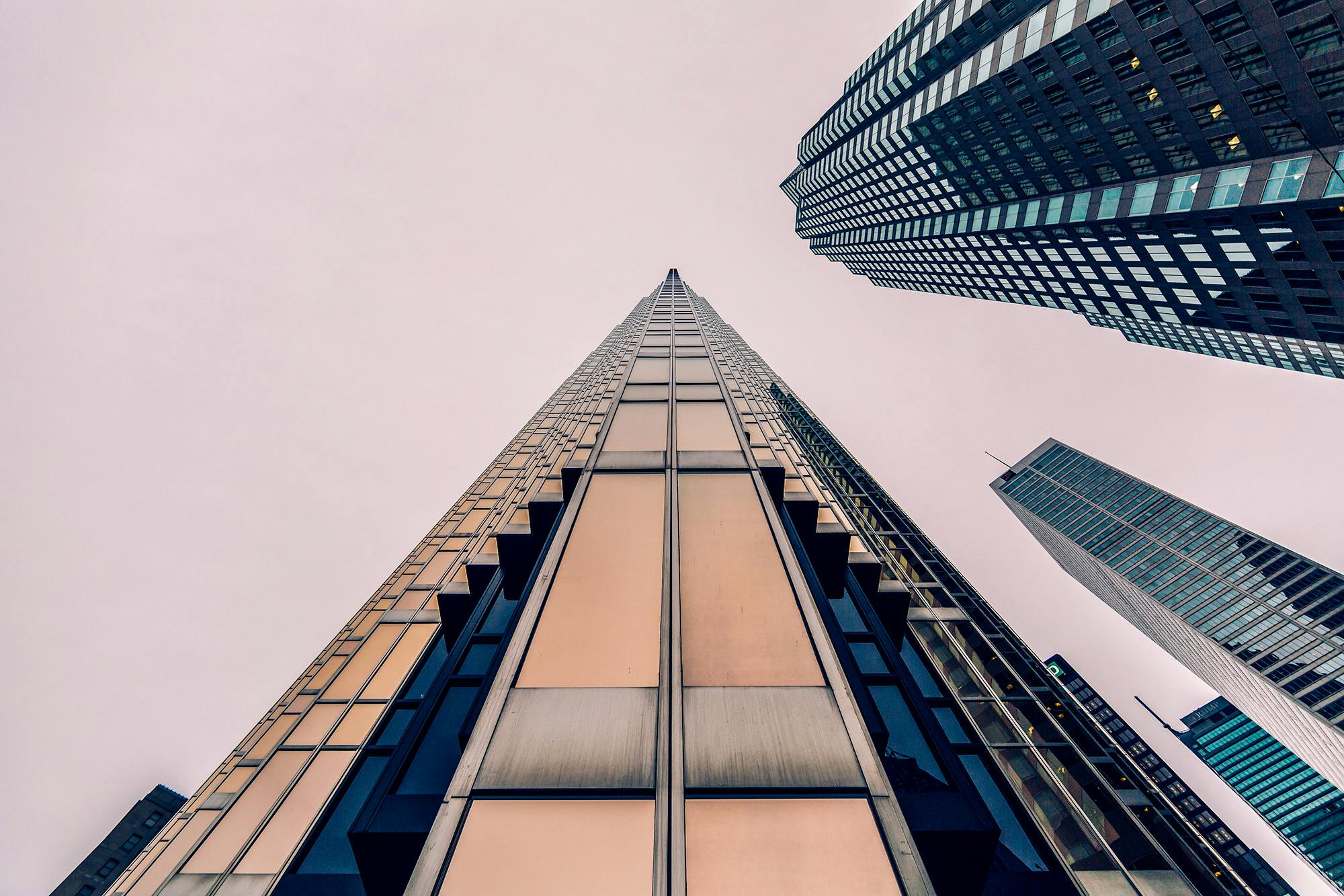 Photo courtesy Pexels