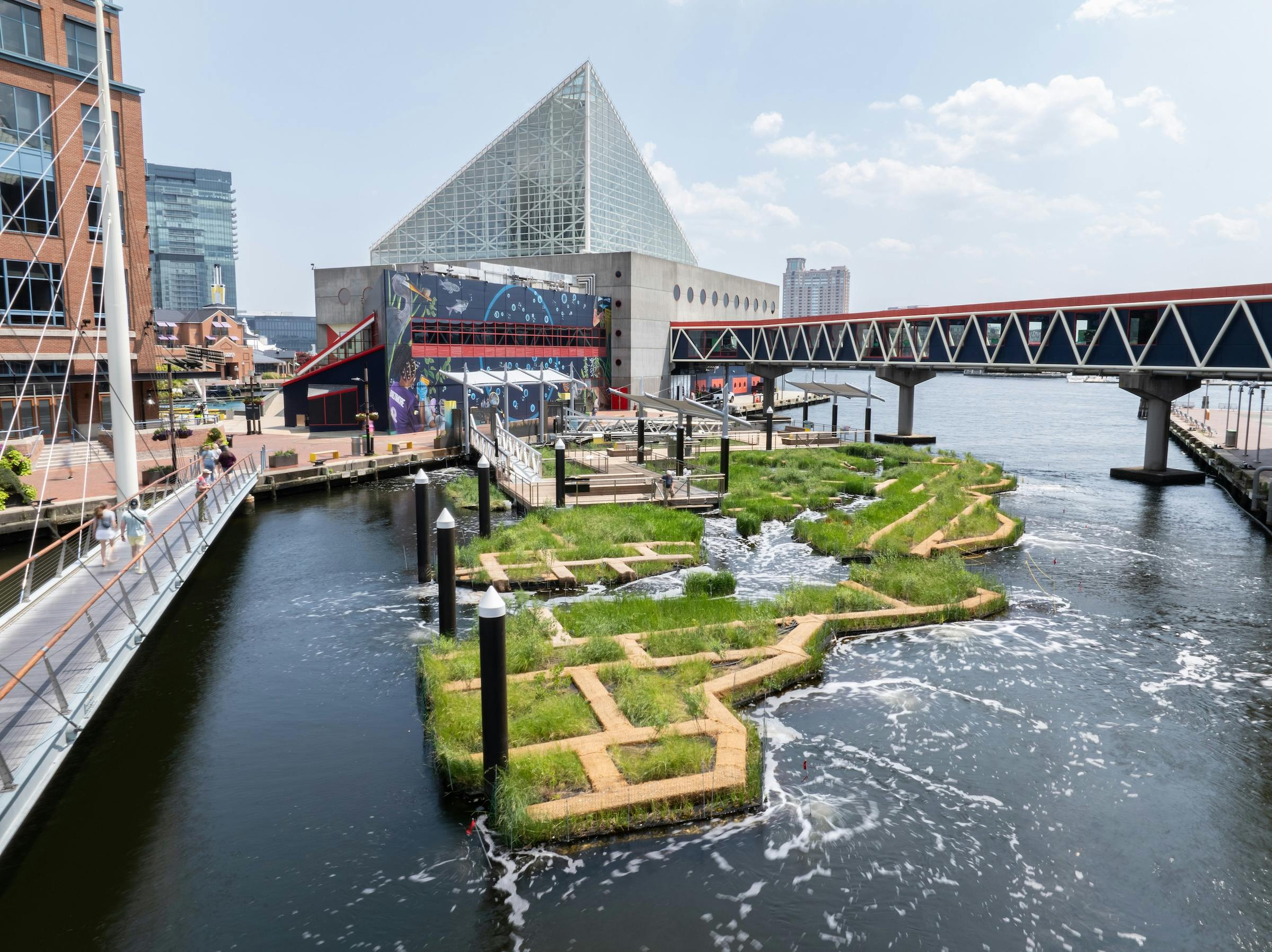 Baltimore&rsquo;s National Aquarium opens 10,000-sf floating wetland that mimics the harbor&rsquo;s original tidal marsh habitat, Photo: Philip Smith, National Aquarium