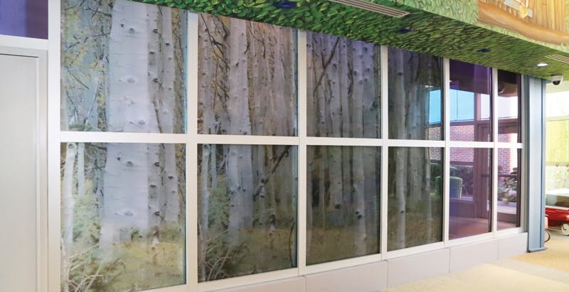 Fire rated glass brings whimsical and reliable protection at children&rsquo;s hospital
