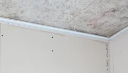 66fc257946a02341ca13fd3c Ecw 66fc257946a02341ca13fd3c Ecw