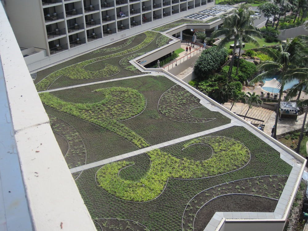 Turtle Bay Sky Scape 2 Copy