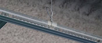 66fc25dc04bf4b209eac10e6 Iic