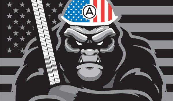 66fc2647125c294b7ff50215 Arm600x350bdc201