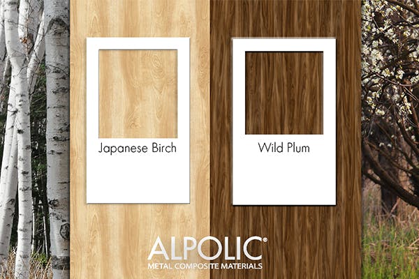 Alpolic 600x400 Tech Brief Japanese Birch Wild Plum Combo