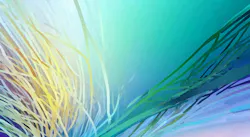 AI Hero Image AI Hero Image