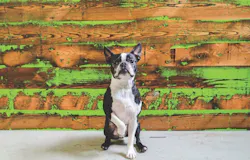 reclaimed wood reclaimed wood