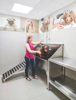 Screen%20 Shot%202018 05 16%20at%201 31 48%20 Pm Screen%20 Shot%202018 05 16%20at%201 31 48%20 Pm