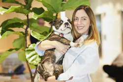 GIA ZAPATTINI GIA ZAPATTINI