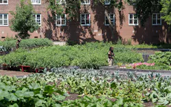 Urban%20farm%205 Urban%20farm%205