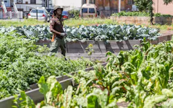 Urban%20farm%206 Urban%20farm%206