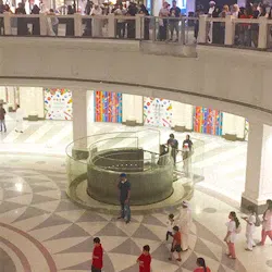 Elevator Crop Elevator Crop