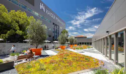 Outside courtyard with gardens and seating Outside courtyard with gardens and seating