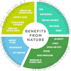Promoting-Natural-Capital-in-Construction-Helps-Biodiversity-and-the-Climate-47650_figure1 Promoting-Natural-Capital-in-Construction-Helps-Biodiversity-and-the-Climate-47650_figure1
