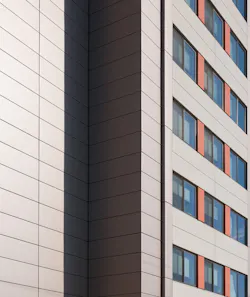 Caliguiriplaza2 Caliguiriplaza2