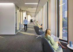 Students studying in library Students studying in library