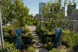 Visionaire2 Visionaire2