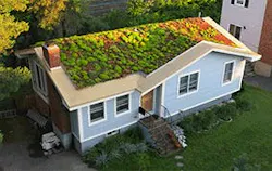 Olive Street Olive Street