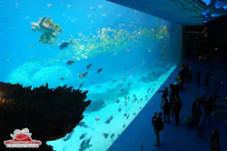 This One Is Supposedly A Little Larger Than The One In Singapores Marine Life Park Big%5 B1%5 D This One Is Supposedly A Little Larger Than The One In Singapores Marine Life Park Big%5 B1%5 D