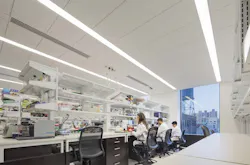 Mt Sinai Csm Som 06 Mt Sinai Csm Som 06