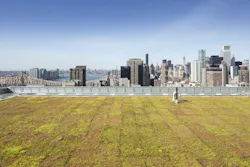 Courtesy Albert Vecerko/Esto Green Roof Courtesy Albert Vecerko/Esto Green Roof