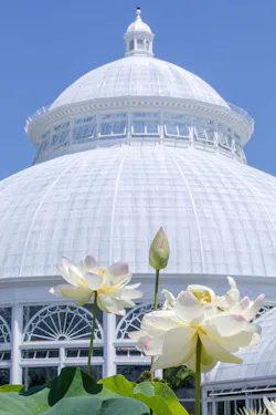 Mco 5 D4 7945 Mco 5 D4 7945