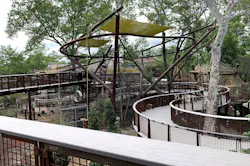 1 Canopy Trails Complete Creditemilampman 300dpi 1 Canopy Trails Complete Creditemilampman 300dpi