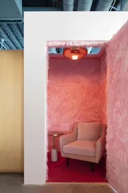 12 Shinesty Pink Fur Room 12 Shinesty Pink Fur Room