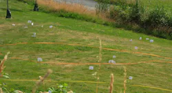 Food Forest3 Food Forest3