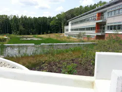 Mathias Rain Garden Serc Mathias Rain Garden Serc