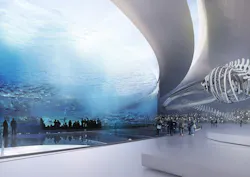 Biodivercity3 Biodivercity3