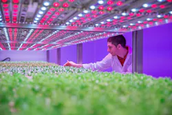 Hr Photo Philips City Farm Research Center 12 Hr Photo Philips City Farm Research Center 12