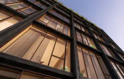 Tall Wood 1 Website Tall Wood 1 Website